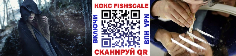 купить   Олонец  COCAIN Columbia 