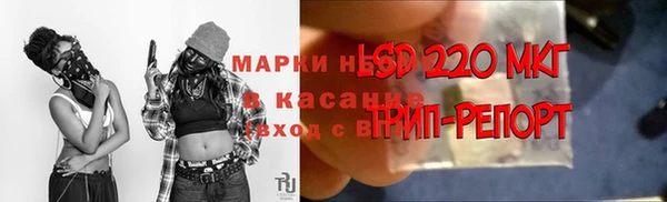 гашик Армянск