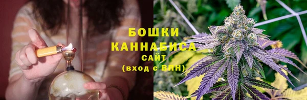 PSILOCYBIN Богданович