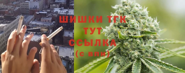 дурь Арсеньев