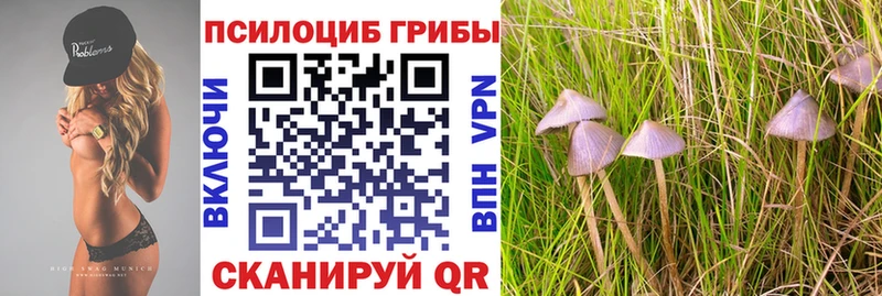 Галлюциногенные грибы мицелий KRAKEN рабочий сайт Олонец