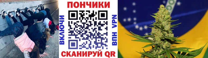 Канабис OG Kush  Олонец 